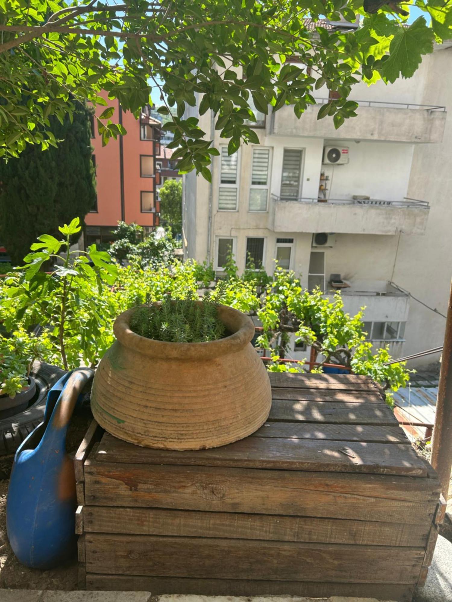 Ferienwohnung Didi House Sandanski Exterior foto