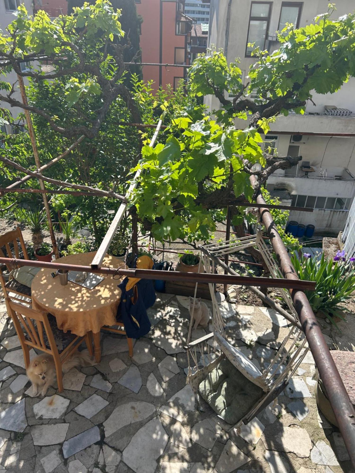 Ferienwohnung Didi House Sandanski Exterior foto